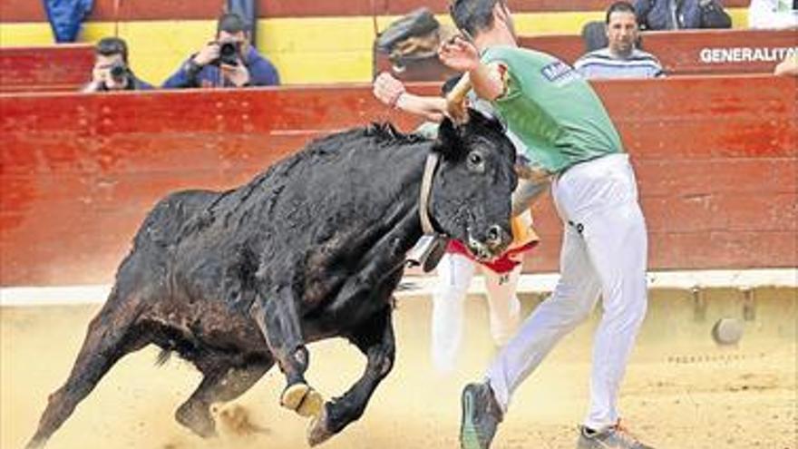 Vinaròs vive el viernes el concurso de recortes ‘Maestros de la calle’