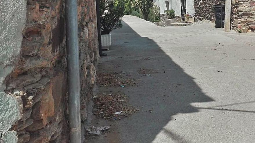 Detalle de la suciedad acumulada en una calle de Carrascal.