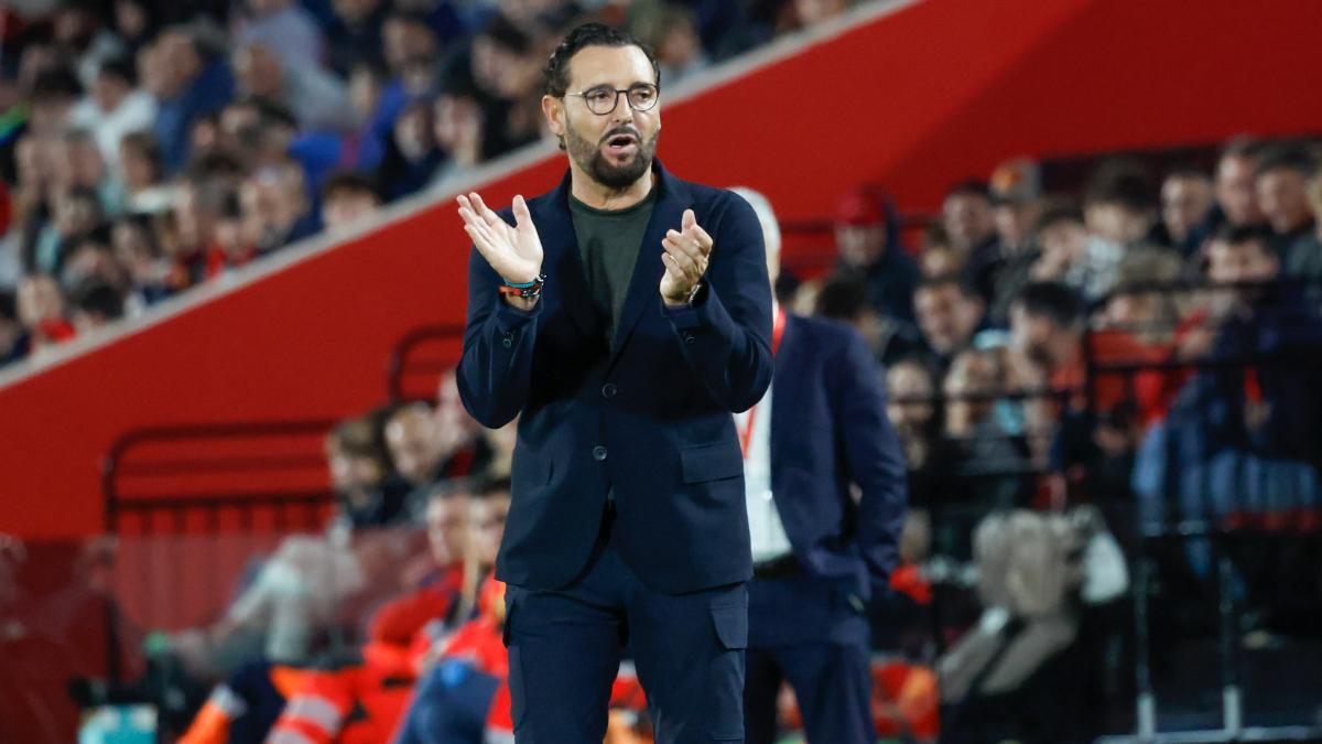 José Bordalás, en el partido contra el Mallorca