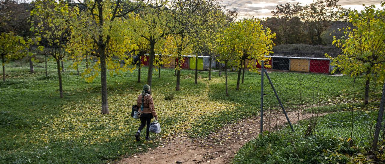 Les instal·lacions del Bu BUp Parc de La Bisbal d'Empordà