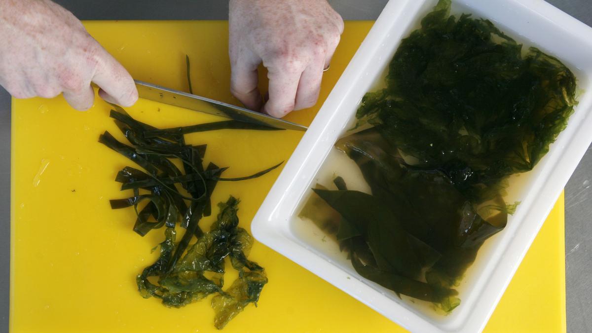Preparación de una receta con algas