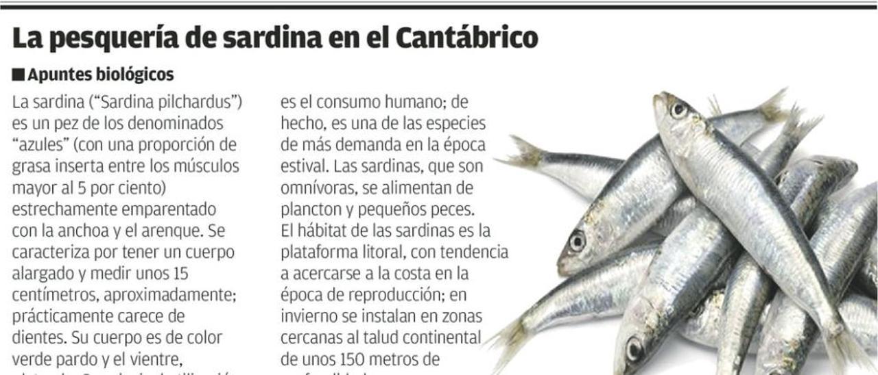 Las reservas de sardina, en el nivel más bajo de su historia, alarman a la flota