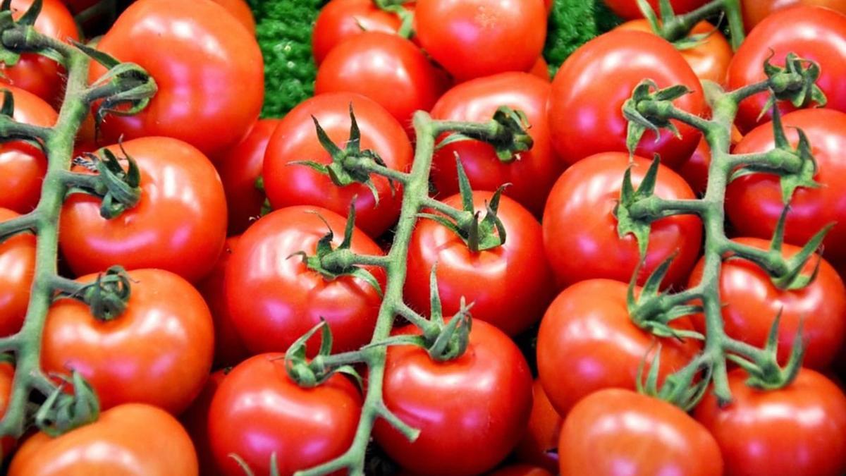 La firma alicantina Multiscan participa en un proyecto para reducir el desperdicio en el procesamiento de tomates.