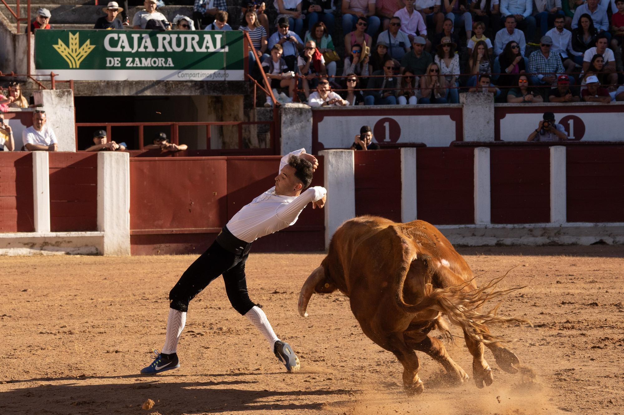 GALERÍA | El Concurso de Recortes, en imágenes