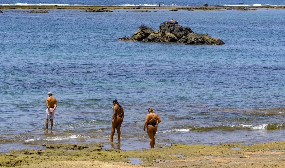 Las capas fósiles de Las Canteras, al descubierto