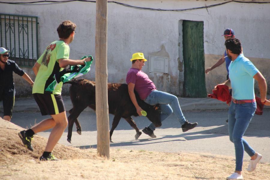 Encierro El Maderal