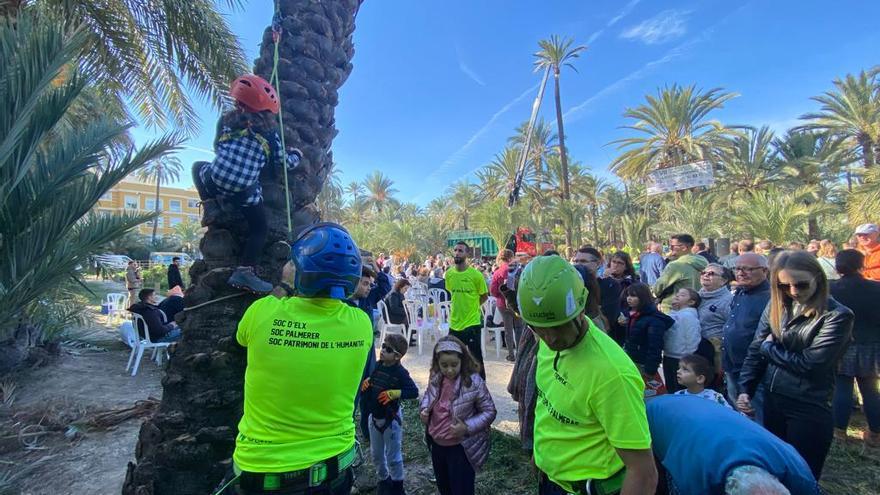 Niños trepando una de las palmeras, en uno de los talleres para concienciar de las tradiciones