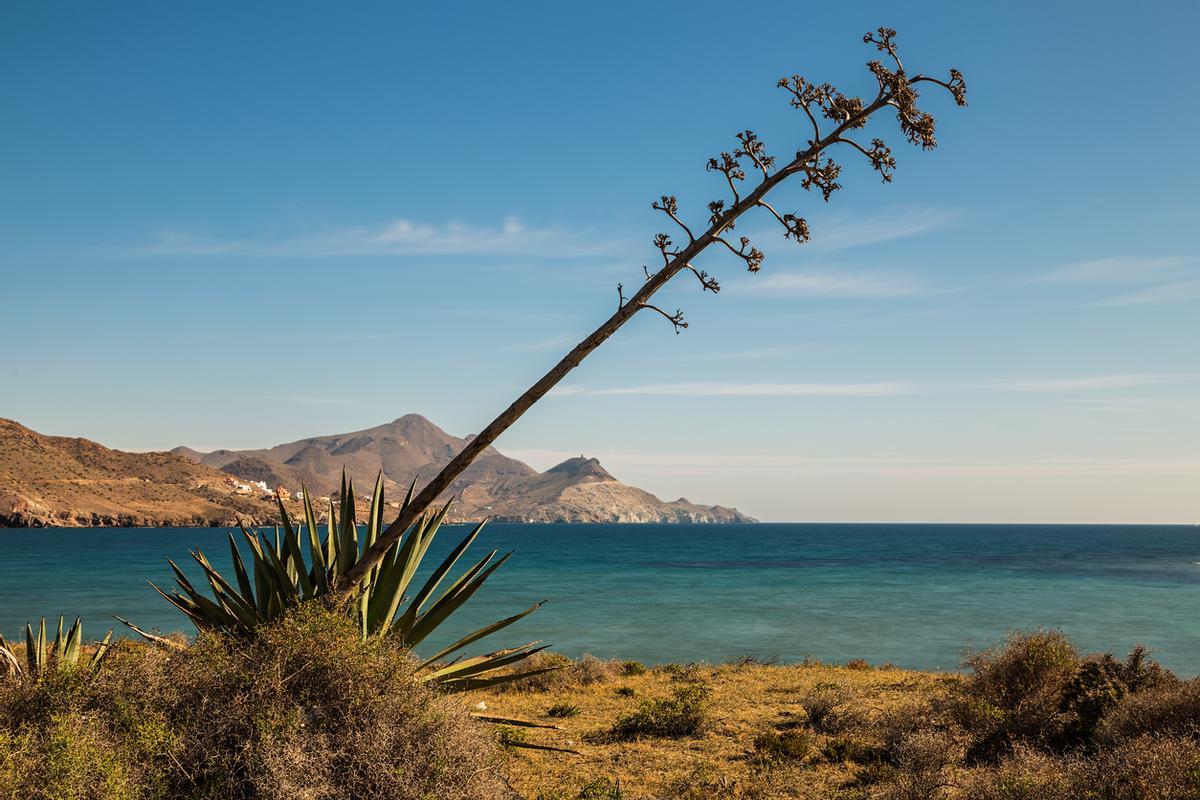 Y tiene un secreto: las playas del Cabo de Gata están muy cerca.