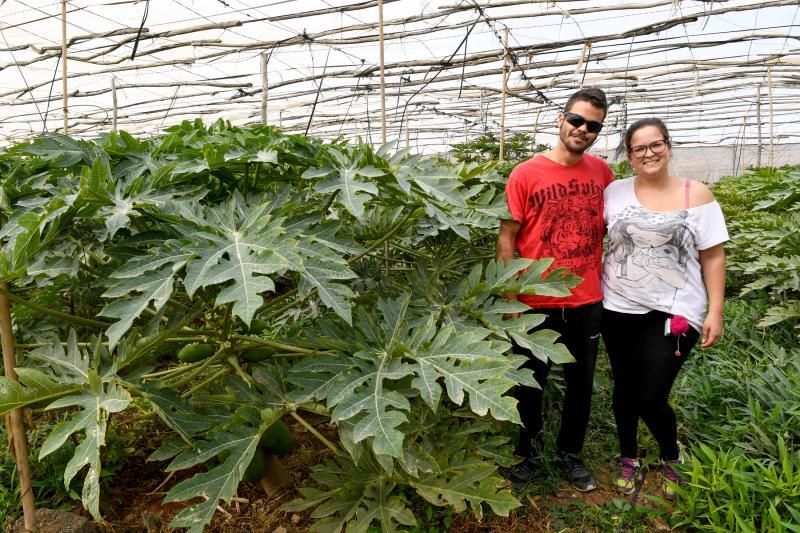 Dos jóvenes agricultores que cultivan, procesan y