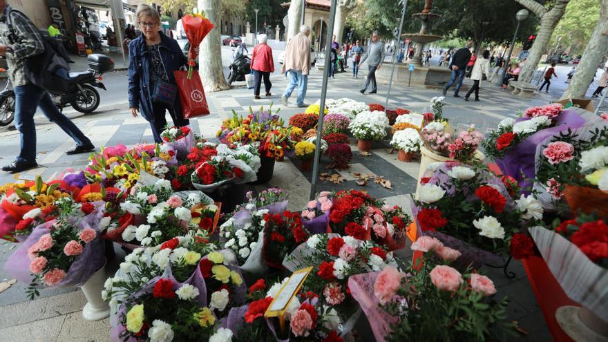 Inundación de flores en La Rambla de Palma