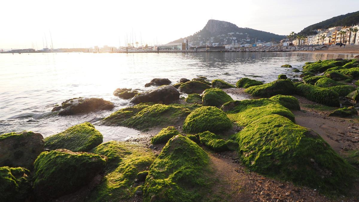 Roques cobertes d’algues al descobert a la costa de l’Estartit durant un episodi de minva.