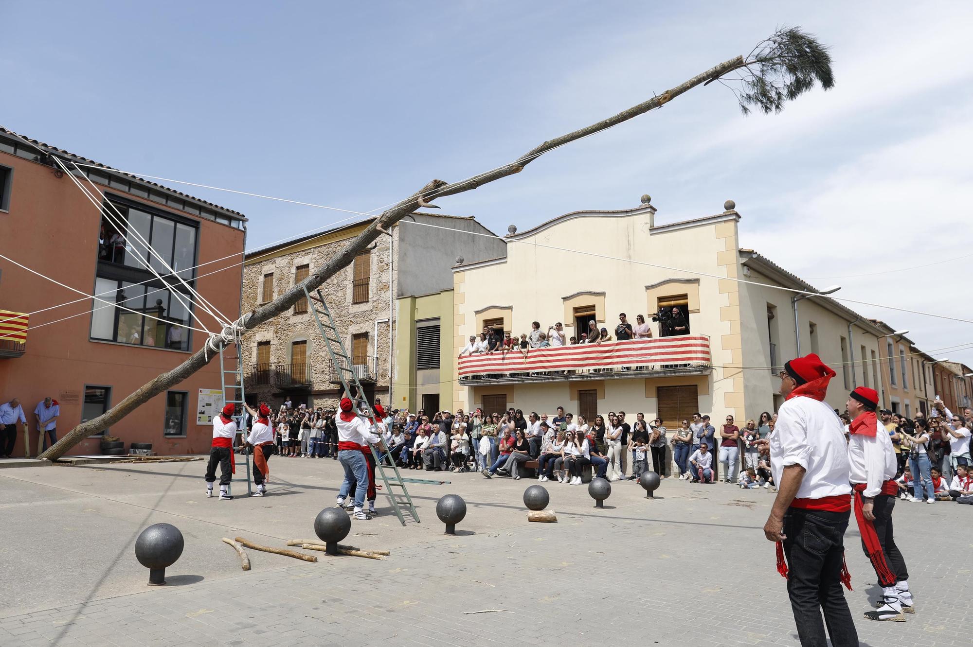 El Ball del Cornut i la plantada de l'arbre tornen a Cornellà del Terri