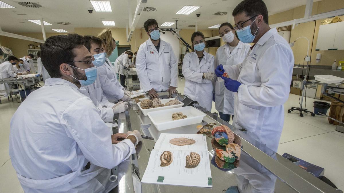 Alumnos de Medicina de la UMH en prácticas de Anatomía