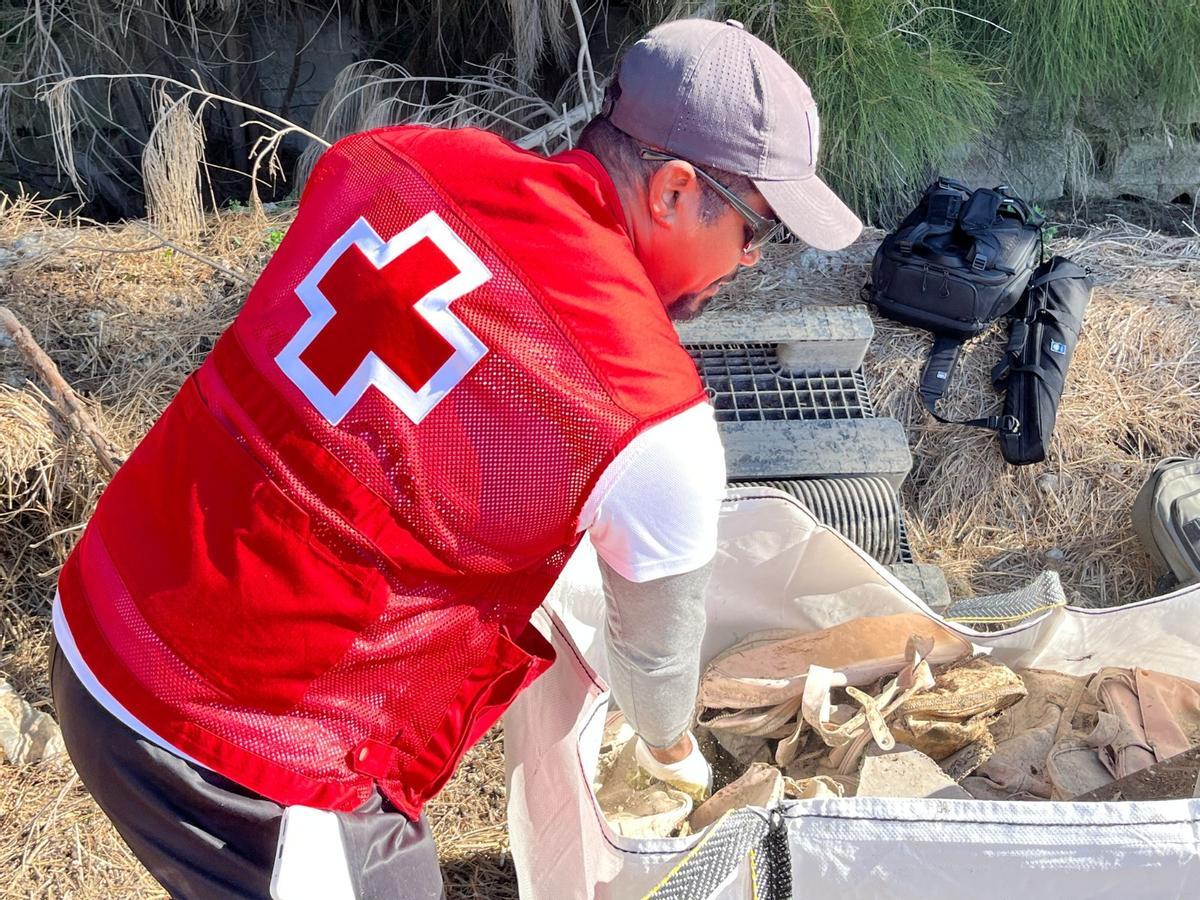 Voluntarios de Cruz Roja limpian arrozales de la Albufera tras la dana.