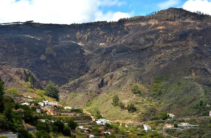 INCENDIO CUMBRE GRAN CANARIA