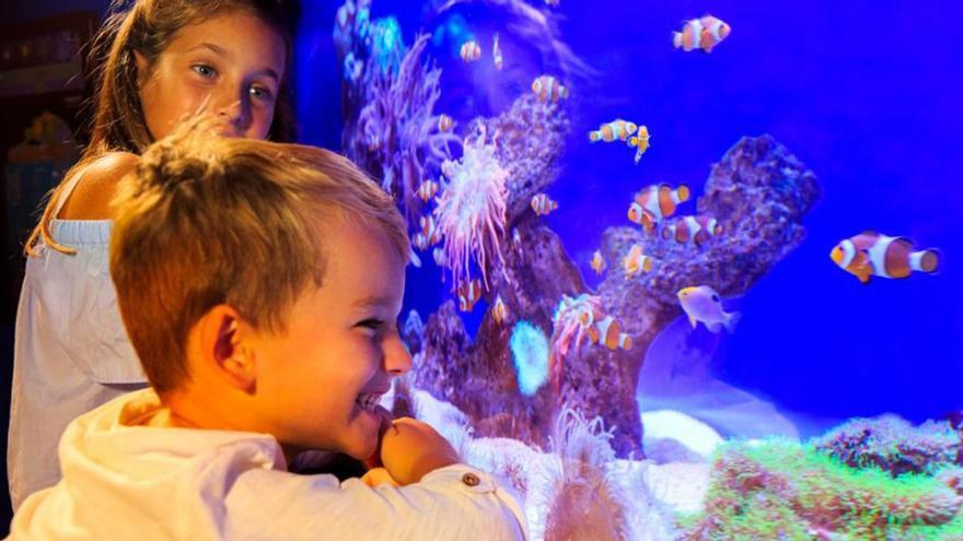 Palma Aquarium celebra este fin de semana su fiesta ‘Yo También’ a beneficio de Sonrisa Médica