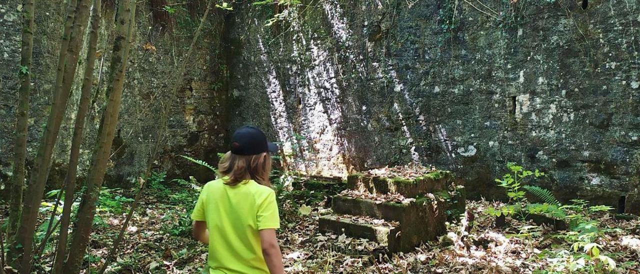 Nueva senda para descubrir: el bosque del Fulminato (Oviedo)