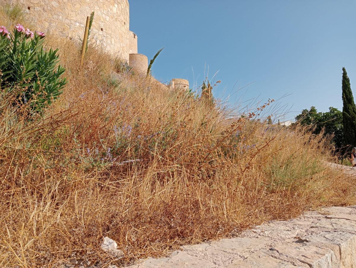 Alrededores del castillo de Villena