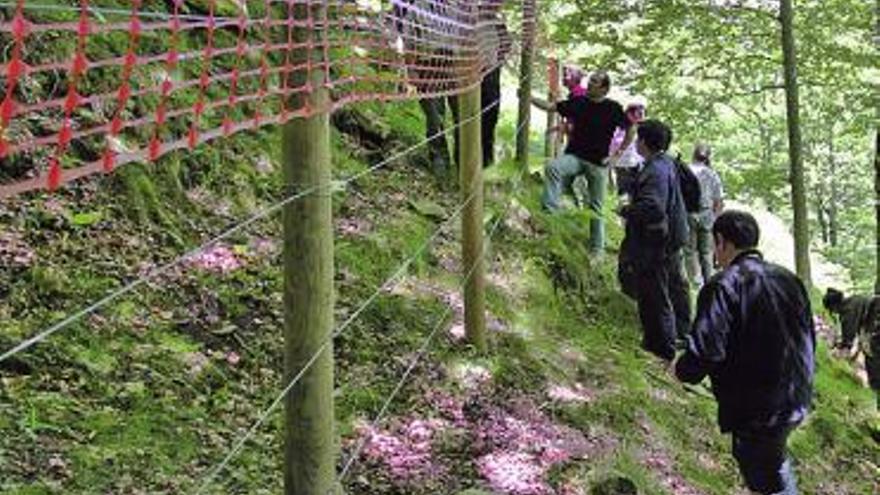 Un grupo de expertos, en una visita a cercados con arándanos en Redes.