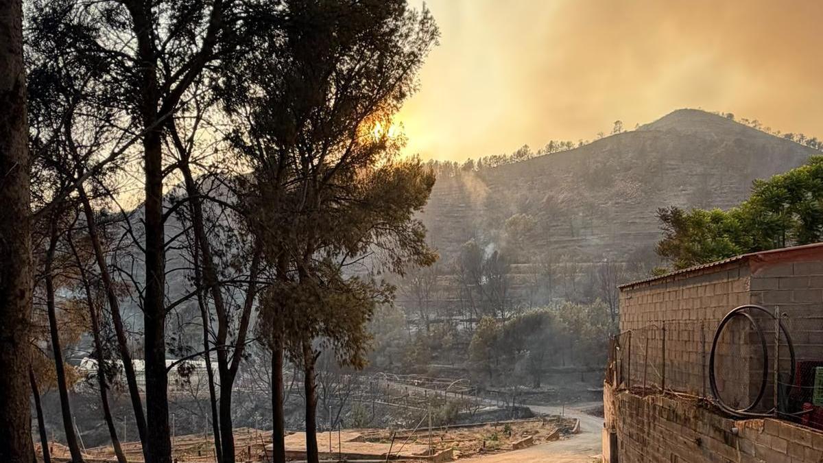 El impacto social y medioambiental de los nuevos incendios forestales, como el de la Vall d'Uixó, no tiene precedentes, según el CEAM.