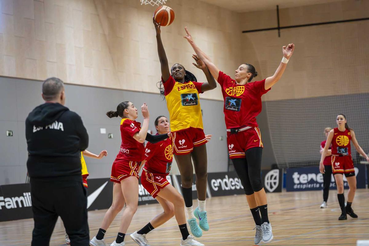 El equipo llega ilusionado a la cita clasificatoria, aunque tenga rivales importantes