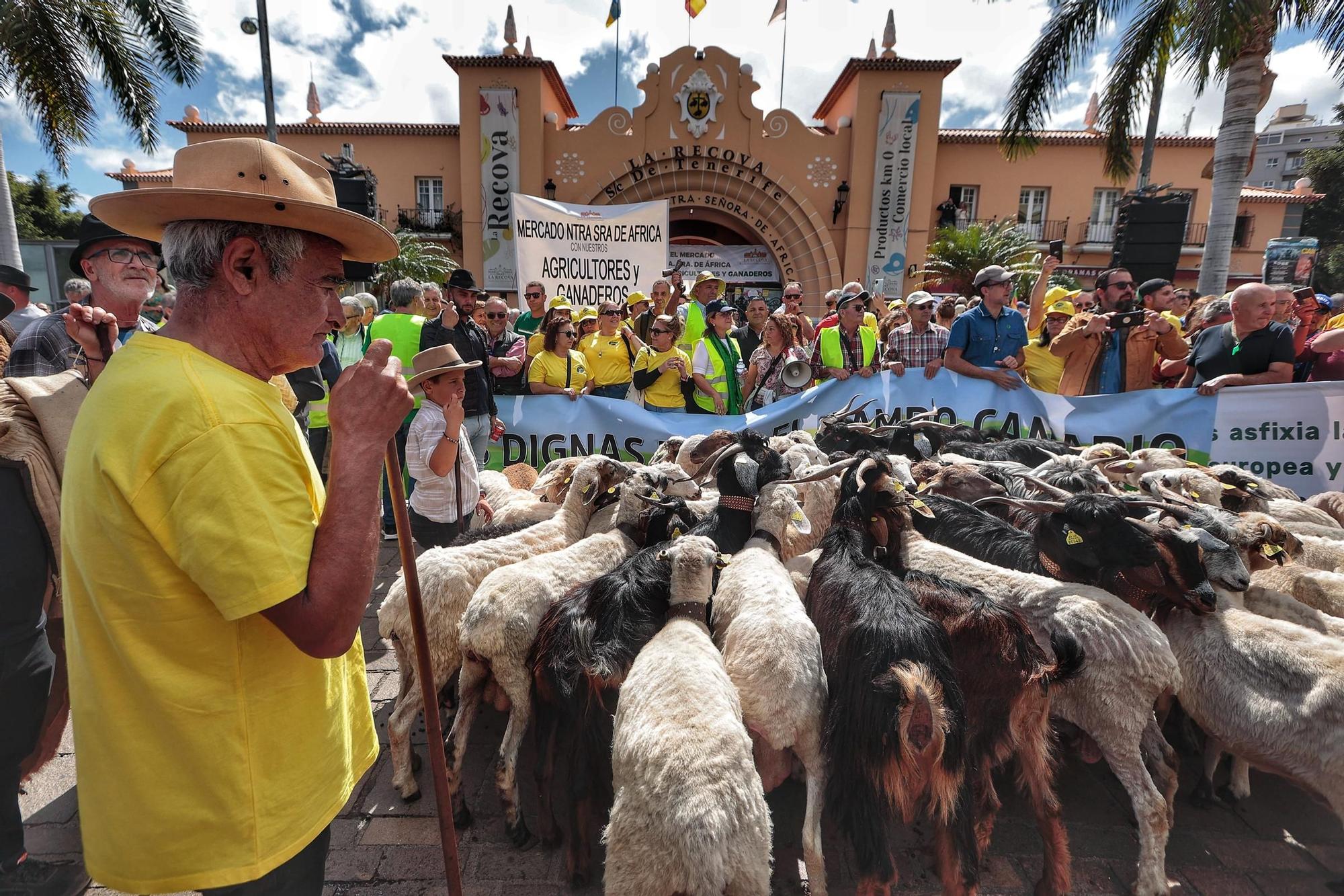 El sector agrario protesta en las calles de Santa Cruz