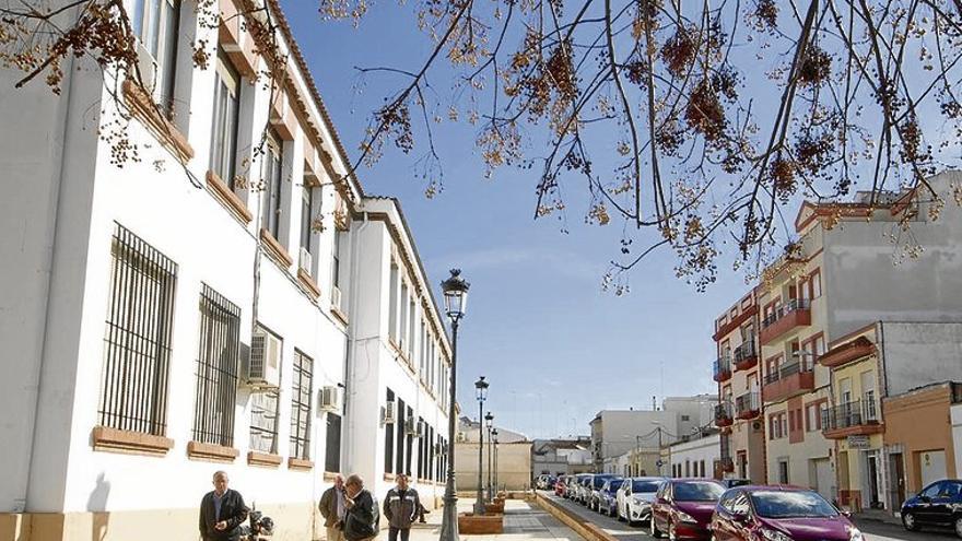 Queja vecinal por los nidos que alberga la escuela de idiomas