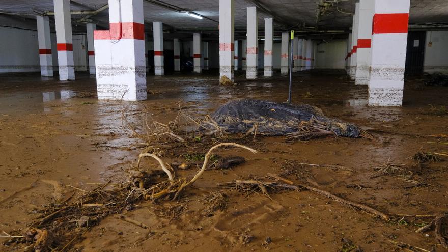 Tareas de limpieza tras el temporal en Telde
