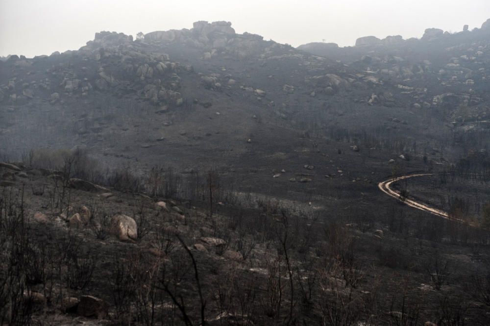 El terrorismo incendiario arrasa el Sur de Galicia