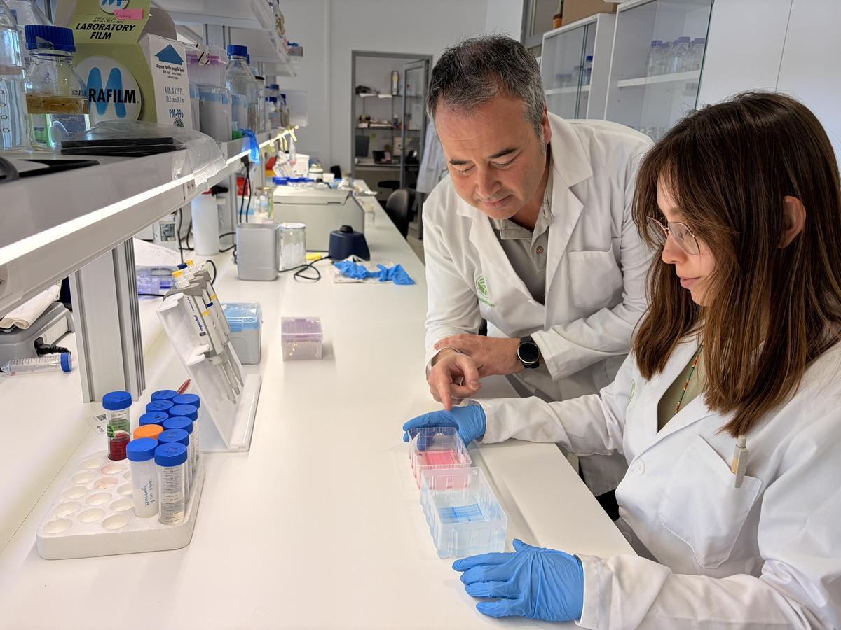Federico Grau, en el laboratorio de Madeinplant, en una imagen reciente.