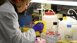 Laboratori de Pharmamar a Colmenar Viejo, a Madrid.