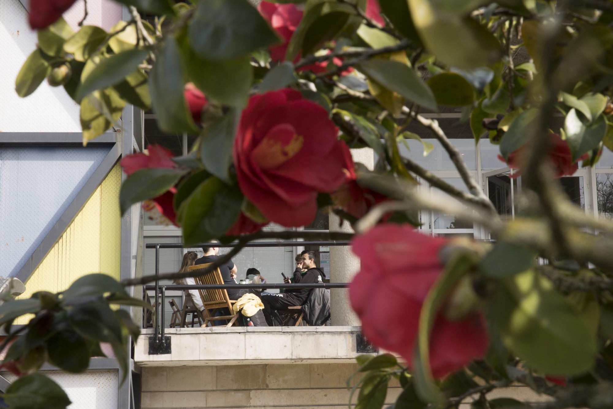 La primavera ya está llegando y así se deja notar en Avilés