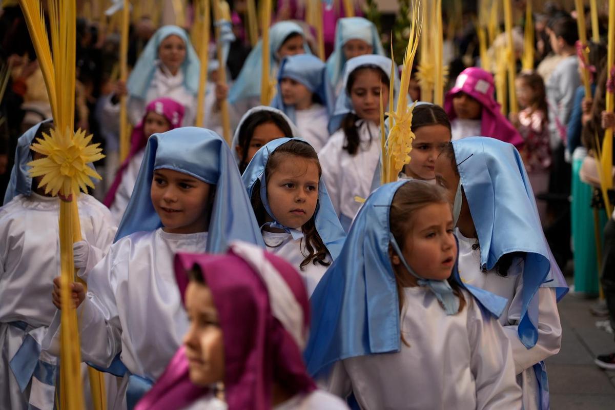La Procesión de La Borriquita en Zamora, en imágenes La Procesión de La Borriquita en Zamora, en imágenes