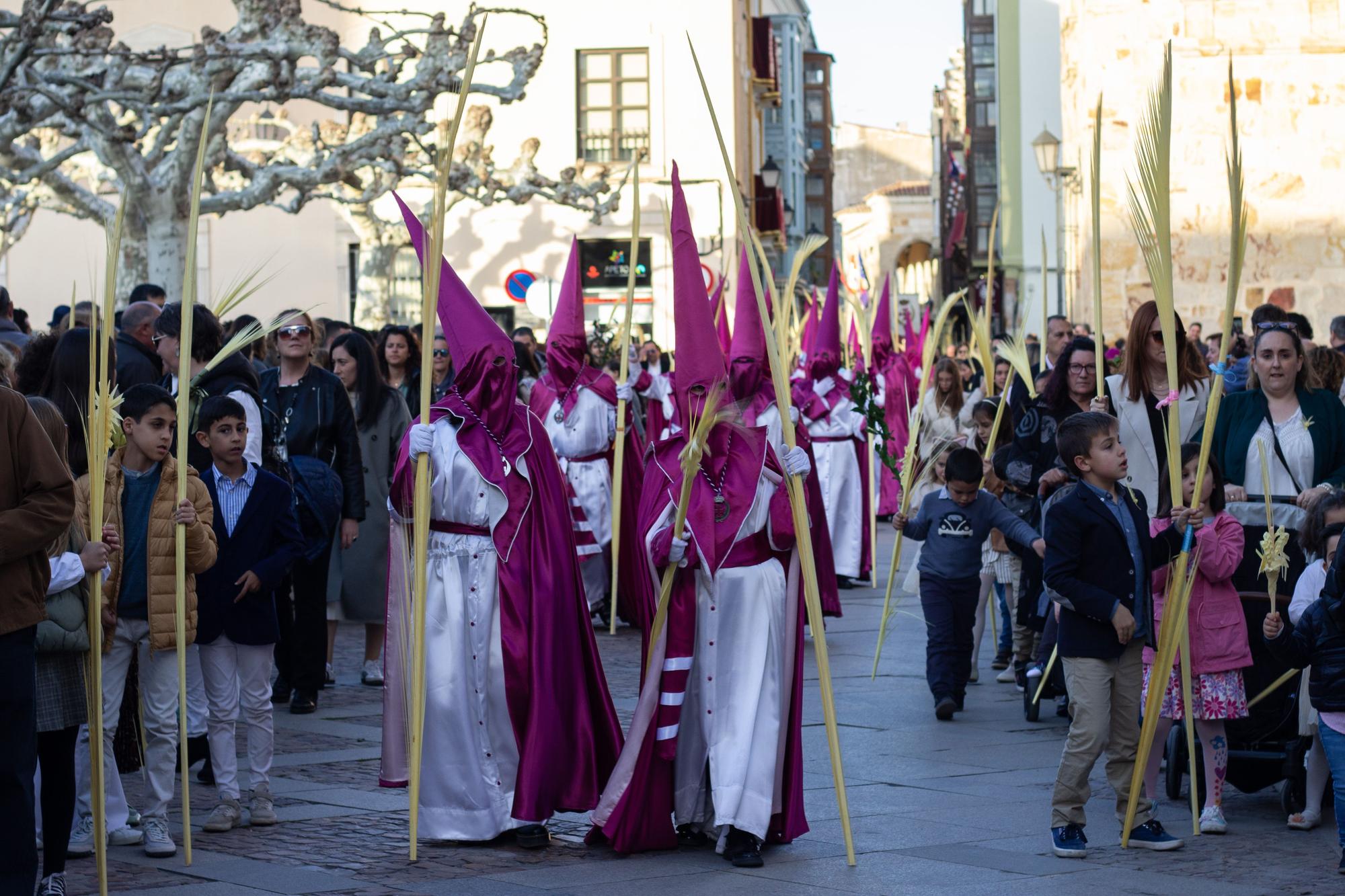 ZAMORA.DOMINGO DE RAMOS