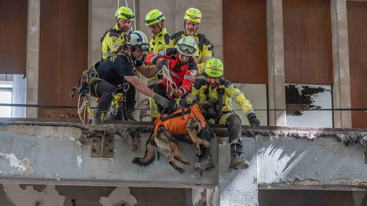 Los bomberos y uno de sus perros en una labor de rescate.