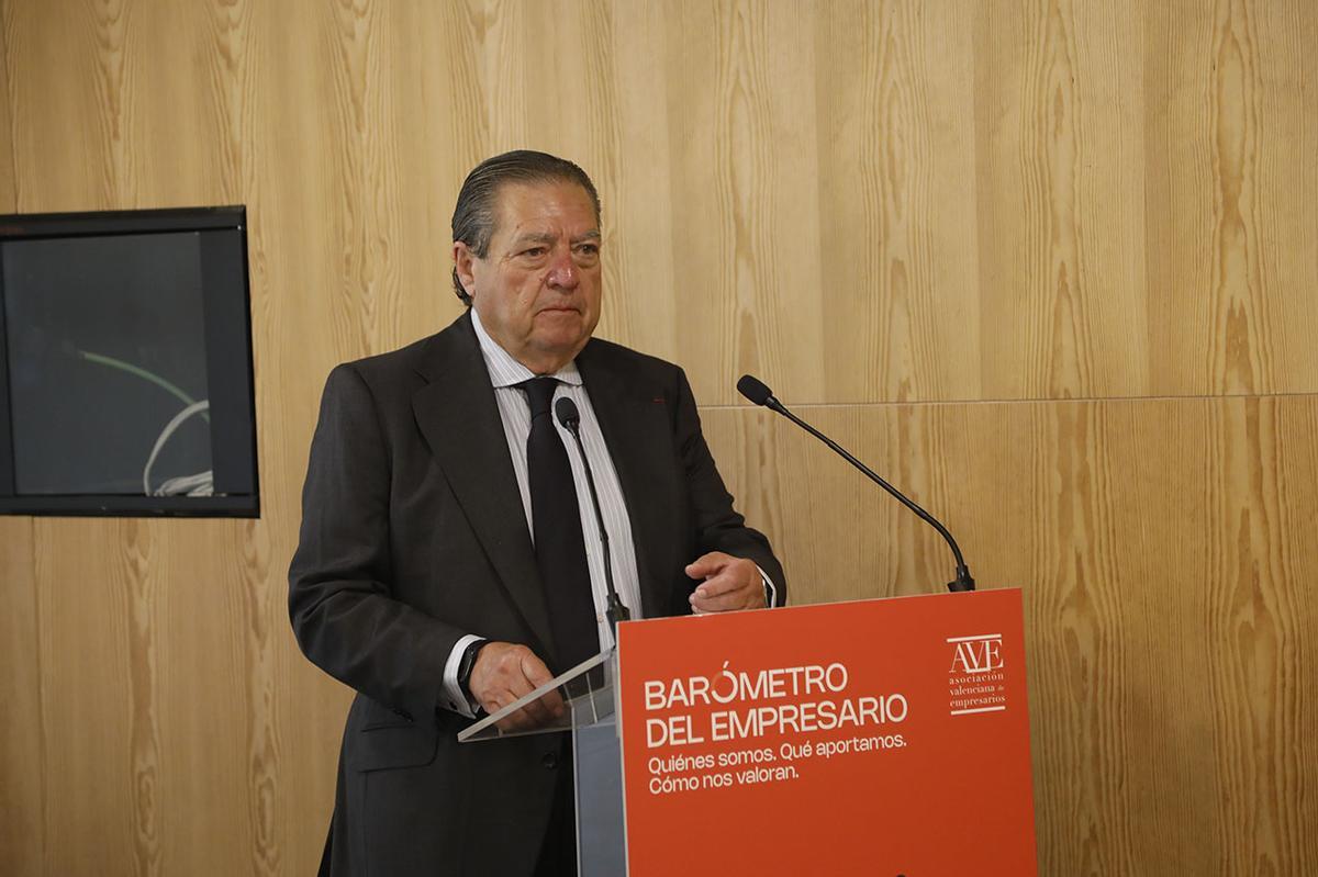Vicente Boluda, presidente de AVE, en un momento de su intervención.