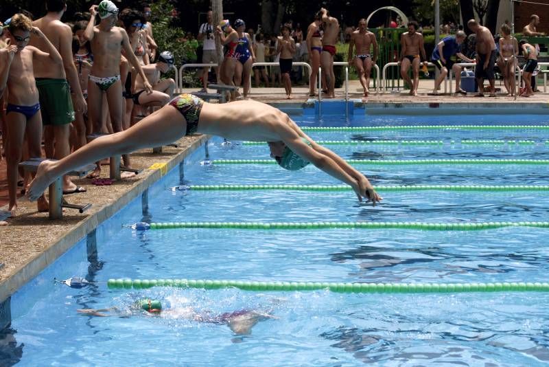 Fotogalería de las 12 horas del Olivar de natación