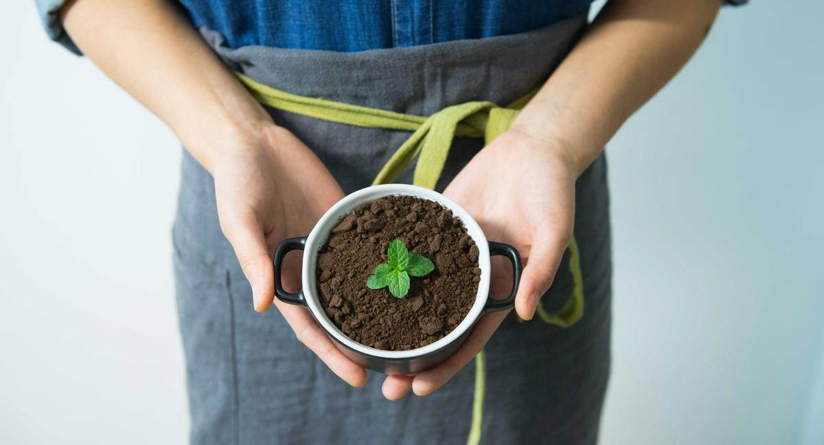 Quienes cultivan huertos tienen menos riesgo de cáncer y mejor salud mental