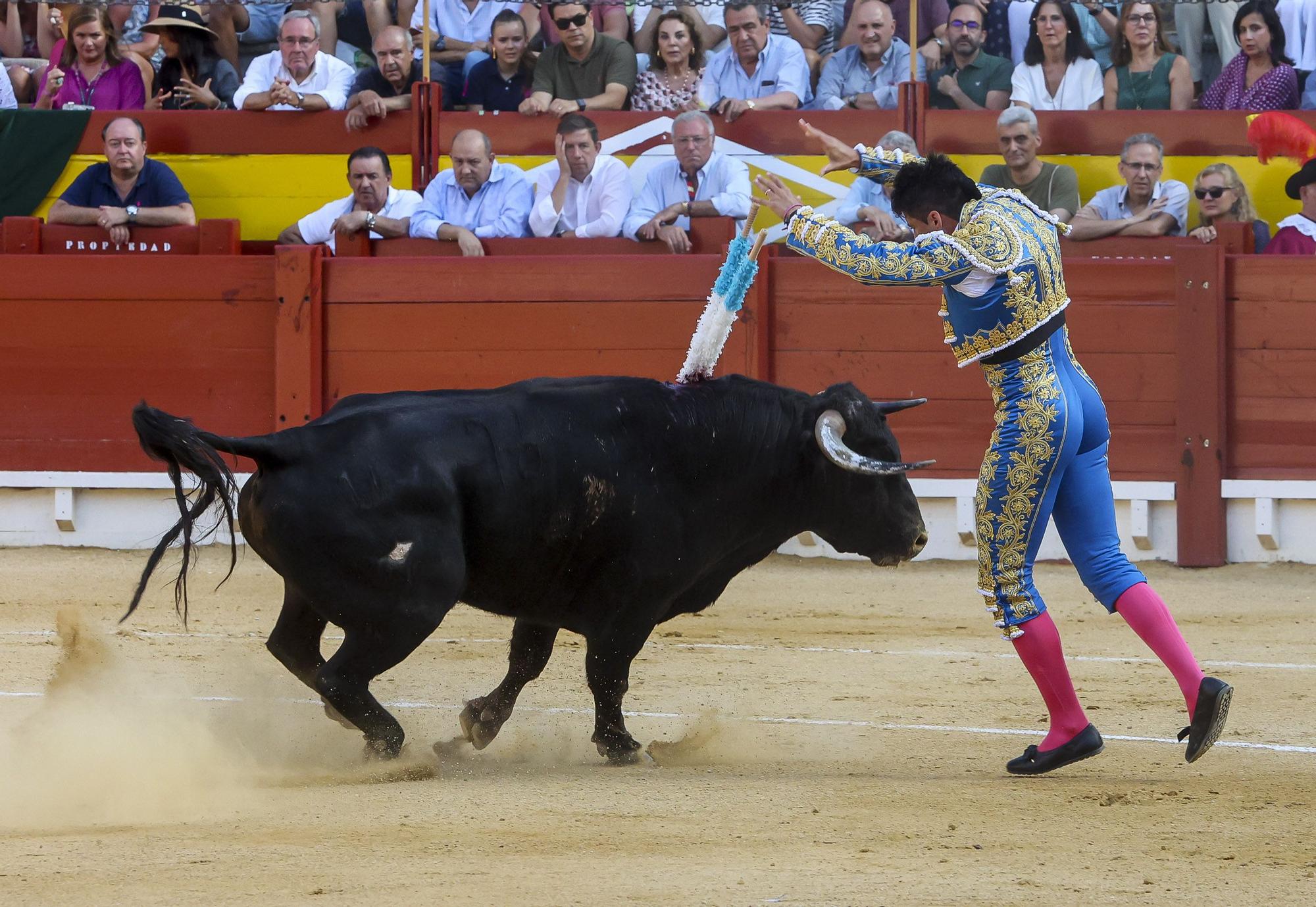 Novillada de Zacarías Moreno para cerrar la Feria de Hogueras