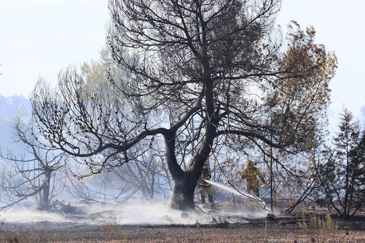 Incendio en Cala de Bou.