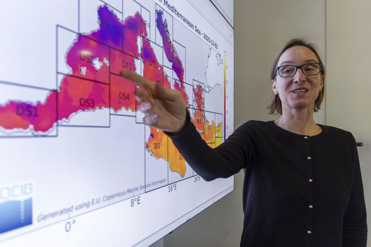 La investigadora del Sistema de Predicción y Observación Costero de Baleares (Socib), Mélanie Juza.