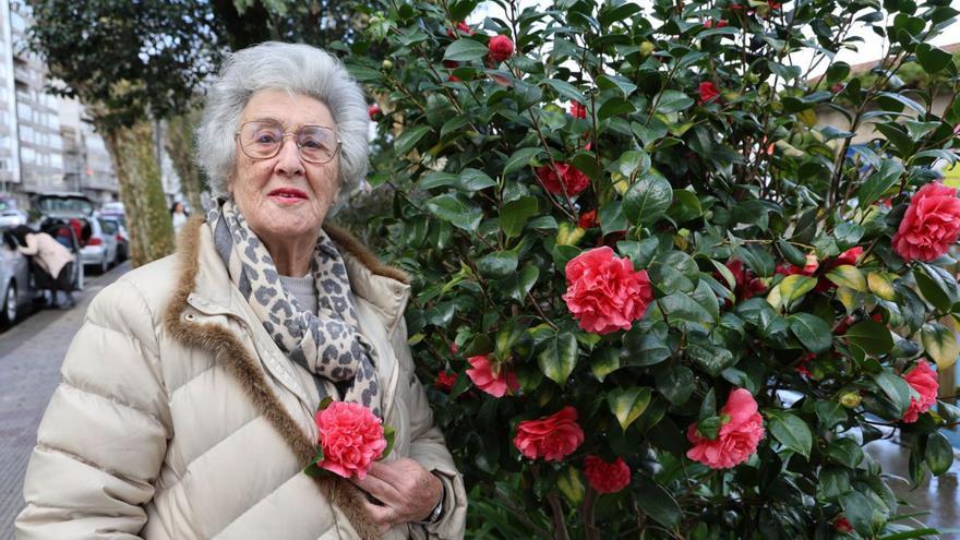 La fundadora de la muestra de la camelia de Soutomaior,  Lelita Gradín, ayer, con unos ejemplares de esta flor.   // ALBA VILLAR