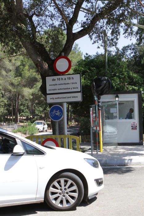 Bus von Port Pollença zum Cap de Formentor