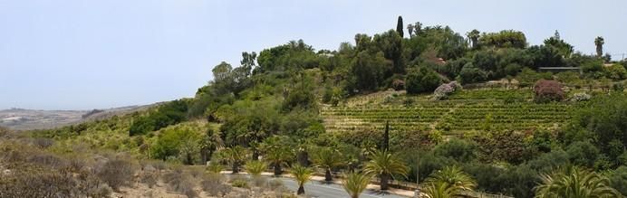 Justus Frankz, en su finca de Monte León