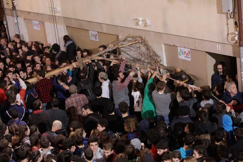 Sant Antoni 2018: Als die Kiefer in Pollença brach