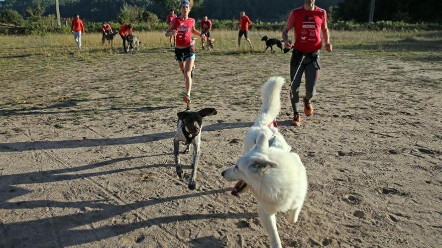 Miembros de Canicross Vigo, en un entrenamiento en Chan das Pipas. // Marta G. Brea