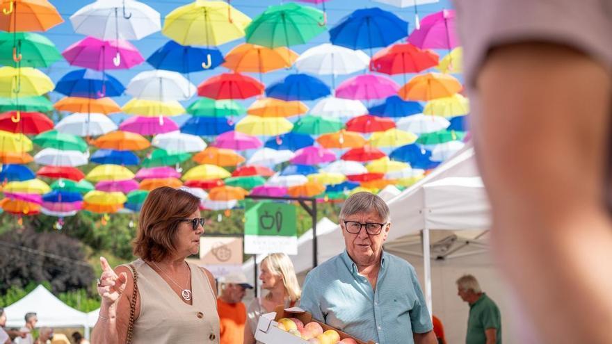 Fontanales reúne a más de 45 productores en una nueva edición de la Feria KM.0 Gran Canaria