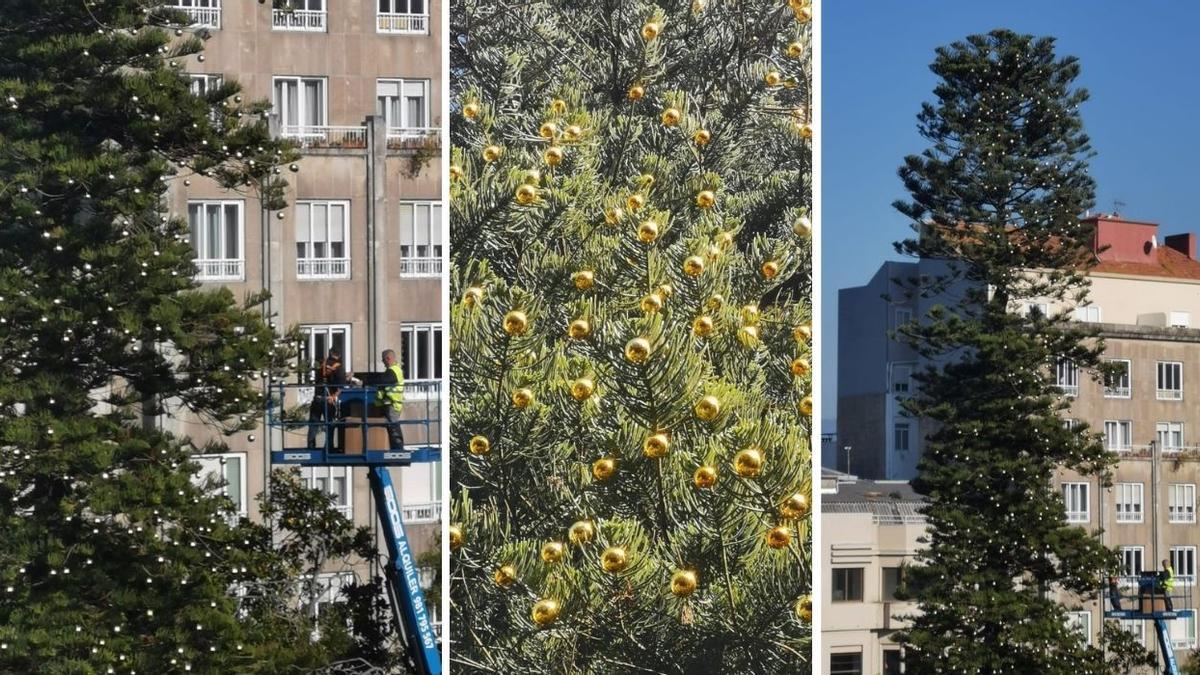 El enorme árbol de la Alameda comenzó a decorarse hoy de cara a la Navidad en Vigo 2021.