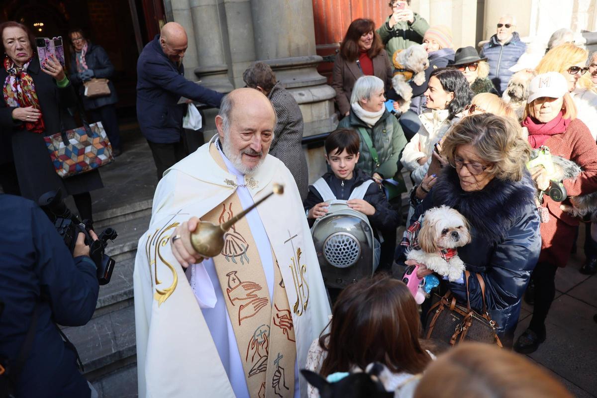 EN IMÁGENES: Oviedo bendice a sus mascotas por San Antón