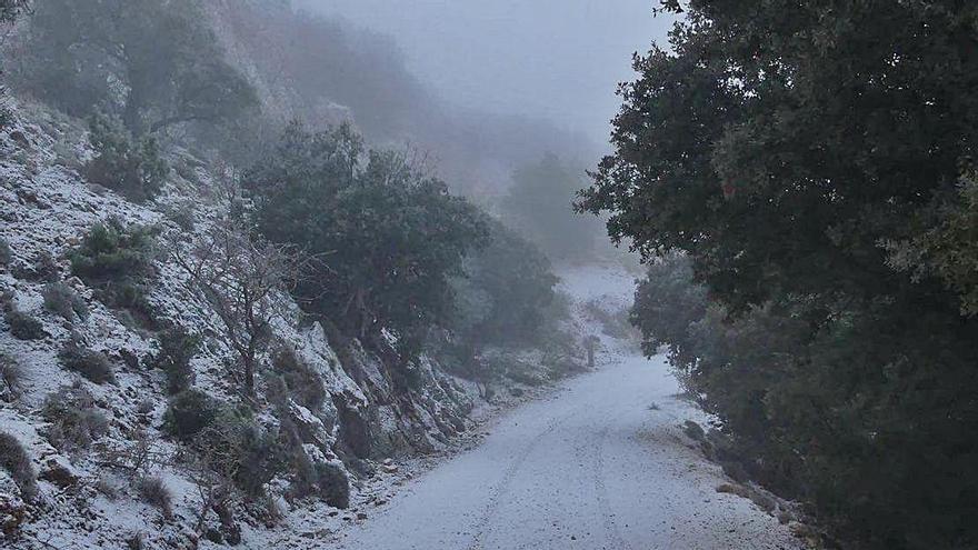 Camino nevado ayer en la zona del Menejador en la Font Roja.